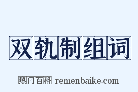 双轨制组词是什么意思的图片